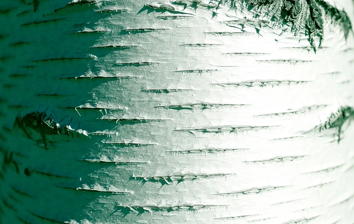 Organic texture detail